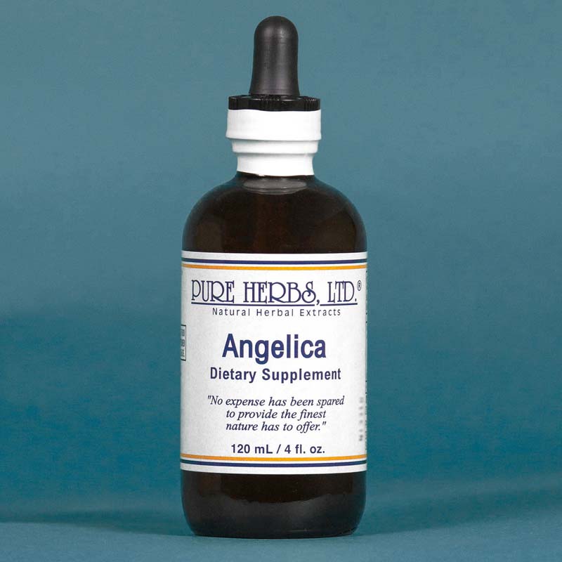 Angelica Extract  4 fl. oz.