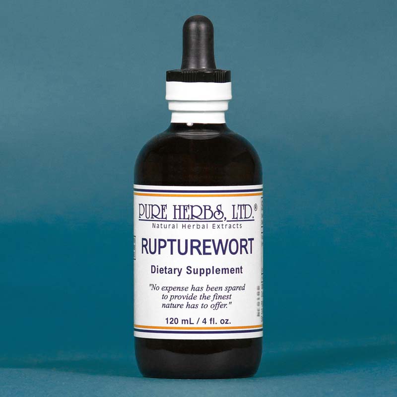 Rupturewort Extract  4 fl. oz.